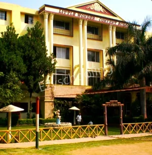 Little Wonders Convent School Gallery