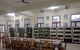 Akashdeep Public School, Mansarovar, Jaipur School BuildingImage 3