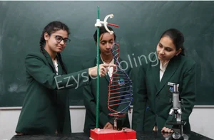 Apex International School Gallery