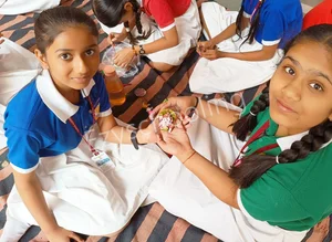 Central Academy School Gallery