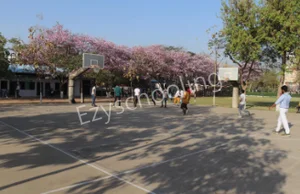 Jaipur School Gallery