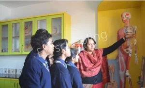 Maheshwari Public School International Gallery