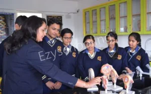 Maheshwari Public School International Gallery