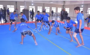 Maheshwari Public School International Gallery