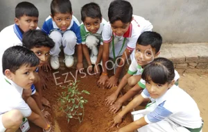 Saint Lawrence Public School Gallery