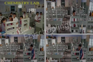 St Soldier Public School Gallery