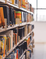 The Bandhan School Gallery