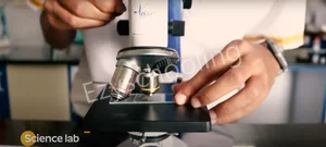 Insight Academy Gallery