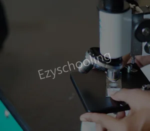 St.Benedict's Academy Gallery