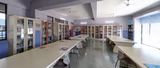 Ryan International School - ICSE Gallery