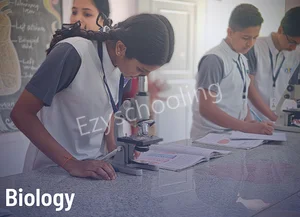 Silicon Valley School Gallery