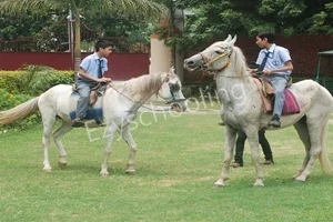 Saigrace Academy International Gallery