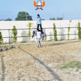 Divine International School Gallery