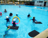 United World Academy Gallery