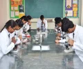MM Public School Gallery