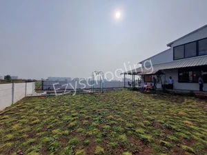 Kalpa Vriksha Academy Gallery