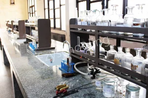 Mount Abu Public School Gallery