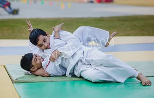 The Shikshiyan School Gallery