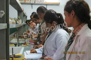 Dreamland School Gallery