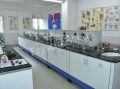 Novel International School Gallery