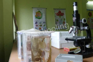 Central Public School Gallery