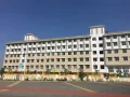 Sri Chaitanya Techno School Gallery