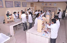 Modern School Gallery