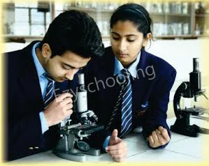 Modern School Gallery