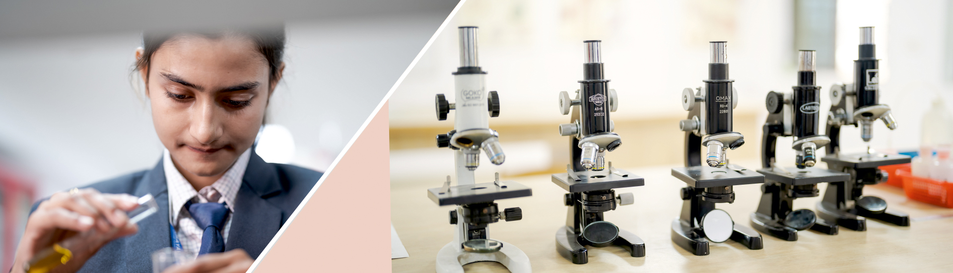 Narayana e-Techno School Gallery