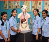 Pragathi PU College Gallery