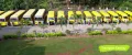 New Pune Public School Gallery