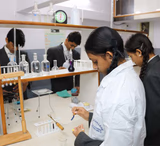 Carmel Public School Gallery