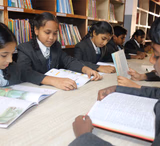 Carmel Public School Gallery