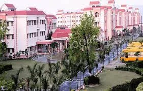 The Pestle Weed School Gallery