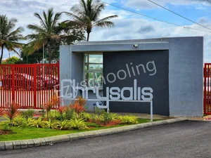 Chrysalis High Marq Gallery