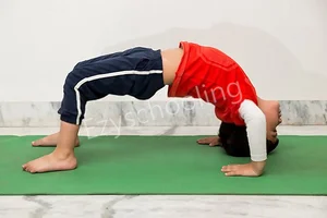 Sheoran International School Gallery