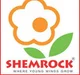 Shemrock Hazelwoods Pre School, Nanded, Pune School Logo