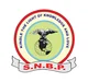 SNBP International School, Hadapsar, Pune School Logo