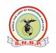 SNBP International School, Wakad, Pune School Logo