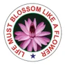 Matru Vidyalaya English Medium School Matru Vidyalaya English Medium School Logo
