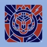 The Tigerish School The Tigerish School Logo