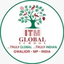 ITM Global School ITM Global School Logo