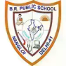 B.R. Public School B.R. Public School Logo